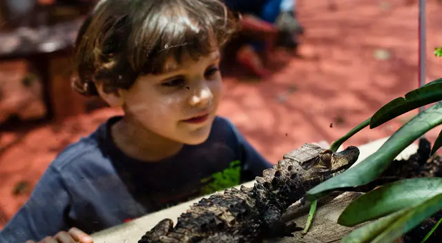 Centros recreativos.