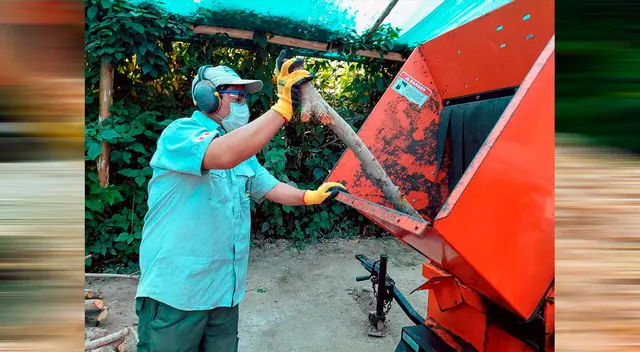 Residuos de madera, ramas, restos de podas, entre otros, sirven para implementar el acolchado ecológico.