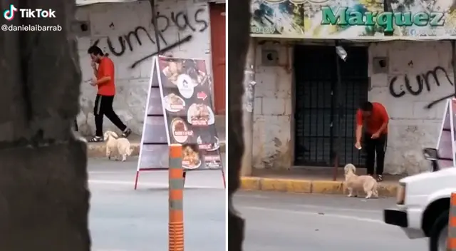 La perrita se escapó de su casa para comer en una hamburguesería.
