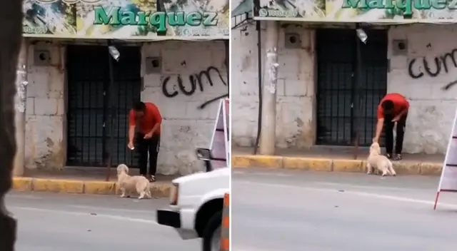 La perrita se escapó de su casa para comer en una hamburguesería.