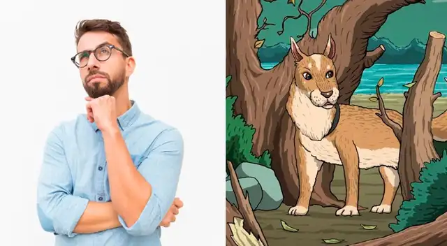 Reto visual: encuentra al felino escondido en la imagen. Reto visual: encuentra al felino escondido en la imagen.