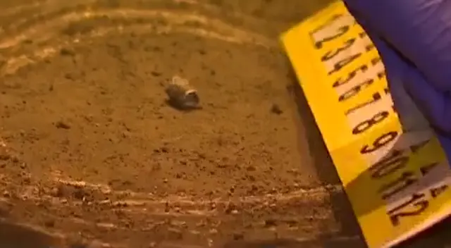 Los peritos de Criminalística llegaron al lugar de los hechos para iniciar con las investigaciones.