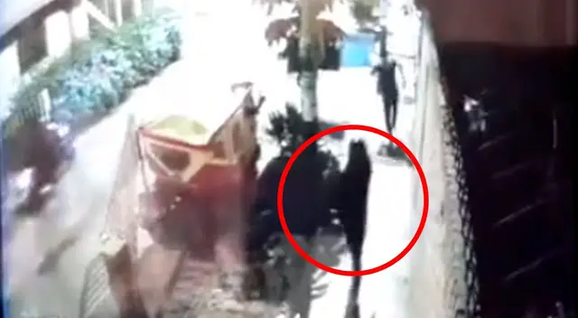 El delincuente le quitó a la vida a un joven por robarle su celular en San Martín de Porres. El delincuente le quitó a la vida a un joven por robarle su celular en San Martín de Porres.