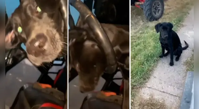 El peculiar video obtuvo miles de reproducciones en YouTube. El peculiar video obtuvo miles de reproducciones en YouTube.