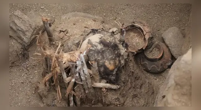 Encuentran momia de más de 600 años