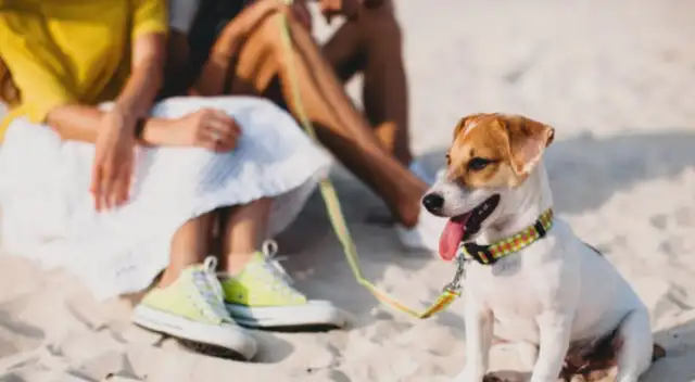 Recuerda cuidar su alimentación, pues puede contribuir a una mejor recuperación. Recuerda cuidar su alimentación, pues puede contribuir a una mejor recuperación.