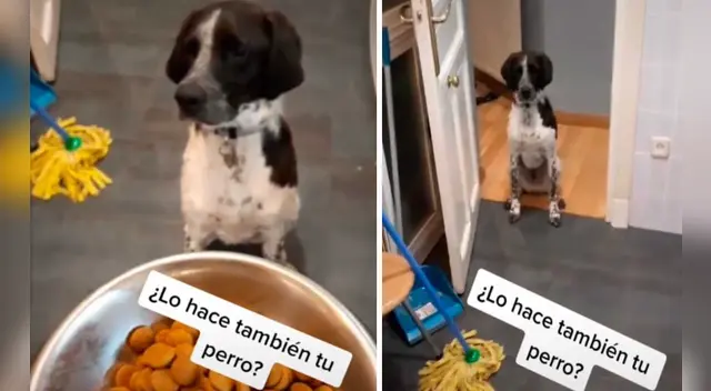 El cómico video causó furor en las redes sociales.