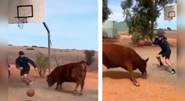 La singular escena causó furor en las redes sociales.