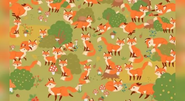 Pocos han podido resolver este desafío viral. Pocos han podido resolver este desafío viral.