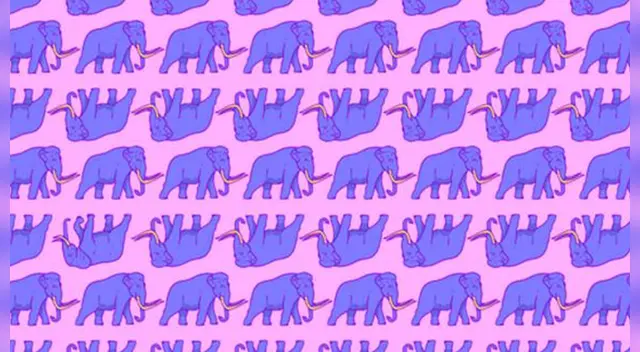 Tienes pocos segundos para dar con la respuesta. Tienes pocos segundos para dar con la respuesta.