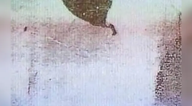 El challengue de Facebook ha causado sensación en las redes sociales.