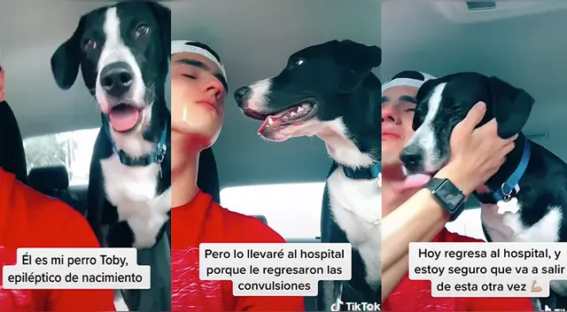 El clip cuenta con miles de reproducciones en TikTok.