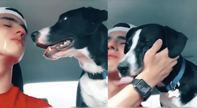 La escena conmovió a miles de internautas en las redes sociales.