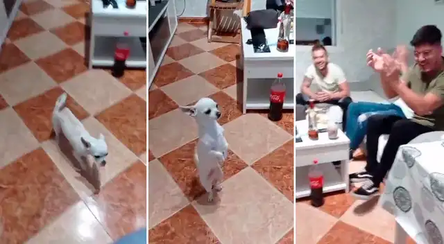 El perrito decidió acompañar a sus dueños con sus pasos de baile.