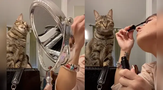 La escena causó la risa de varios usuarios en las redes sociales.