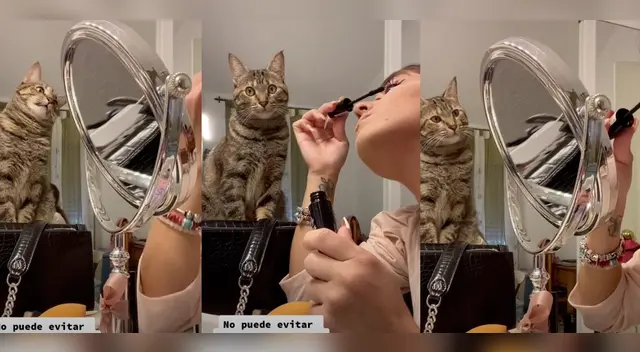 El clip cuenta con miles de reproducciones en TikTok.