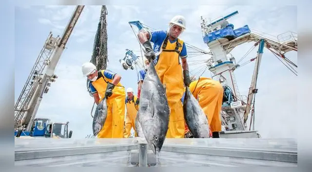 En el Perú existen dos clases de pesca: industrial y artesanal. En el Perú existen dos clases de pesca: industrial y artesanal.