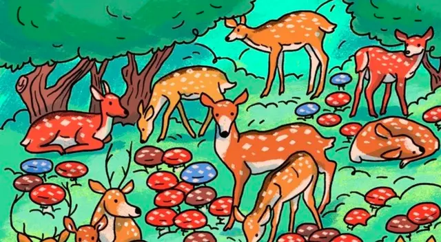 Solo tienes 20 segundos para encontrar la solución del desafío.