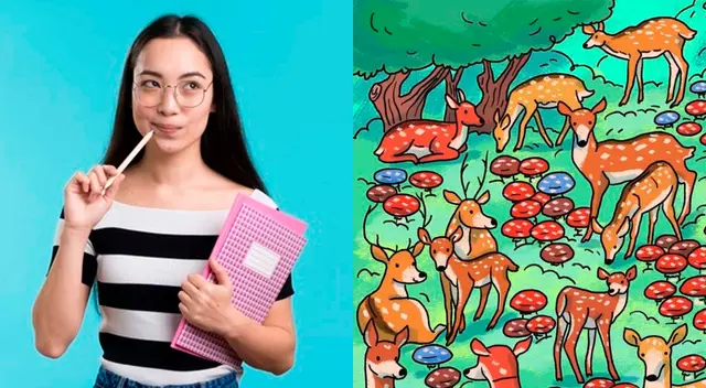 Solo tienes 20 segundos para encontrar la solución del desafío.