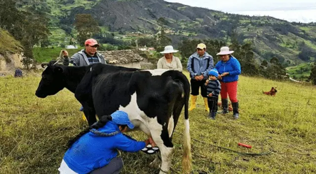 La ganadería es una fuente de ingresos económicos.