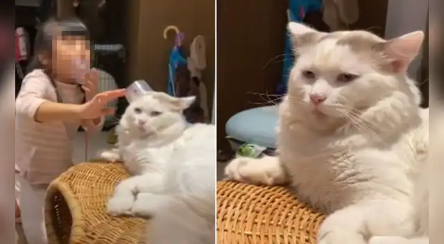 El clip cuenta con miles de reproducciones en Facebook.