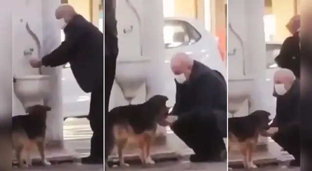 La tierna escena cautivó a los usuarios en las redes sociales.