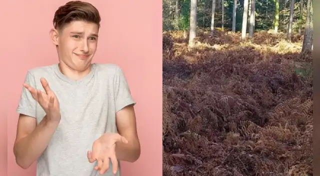 Tienes pocos segundos para dar con la respuesta.