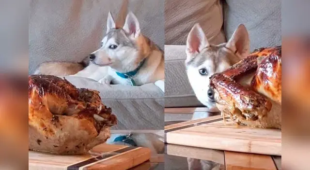 El clip cuenta con miles de reproducciones en TikTok. El clip cuenta con miles de reproducciones en TikTok.