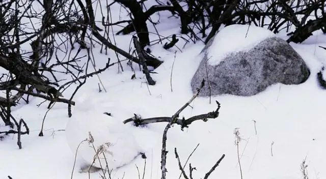 Solo tienes 20 segundos para encontrar la solución del desafío de Facebook. Solo tienes 20 segundos para encontrar la solución del desafío de Facebook.