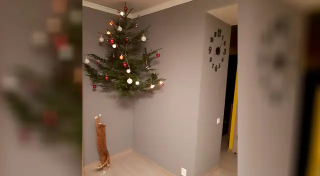 Con trucos simples ya no es necesario que elijas entre tener una mascota o un fabuloso árbol de Navidad.