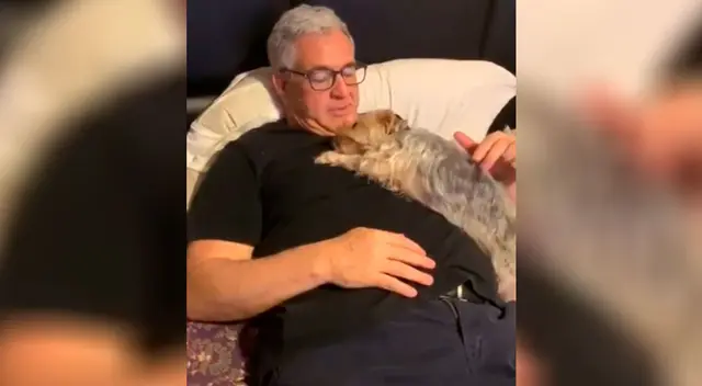 Perrito pide ‘disculpas’ por haber hecho una travesura Perrito pide ‘disculpas’ por haber hecho una travesura