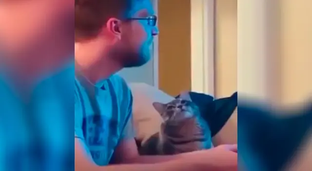 La tierna manera de un gato para demostrar su amor hacia su dueño