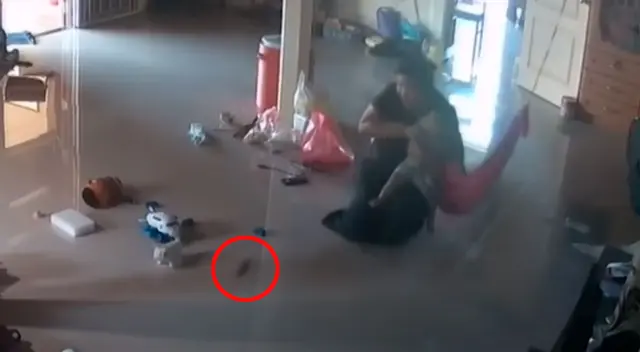 La acción de la madre evitó que un ciempiés venenoso ataque a su hijo La acción de la madre evitó que un ciempiés venenoso ataque a su hijo