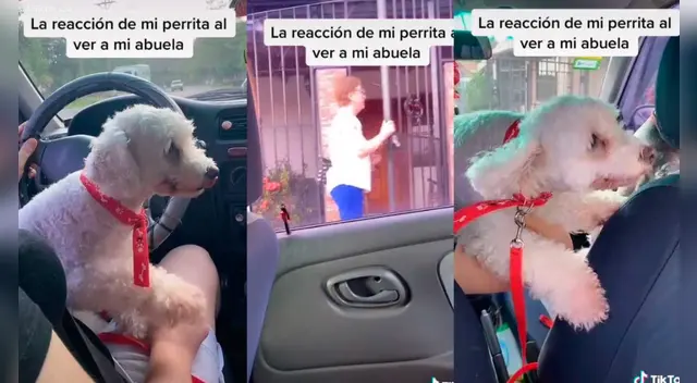 El clip cuenta con miles de reproducciones en TikTok.