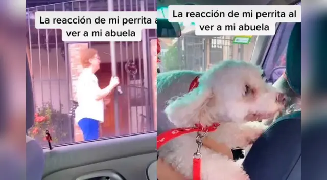 La tierna escena cautivó a los usuarios en las redes sociales.