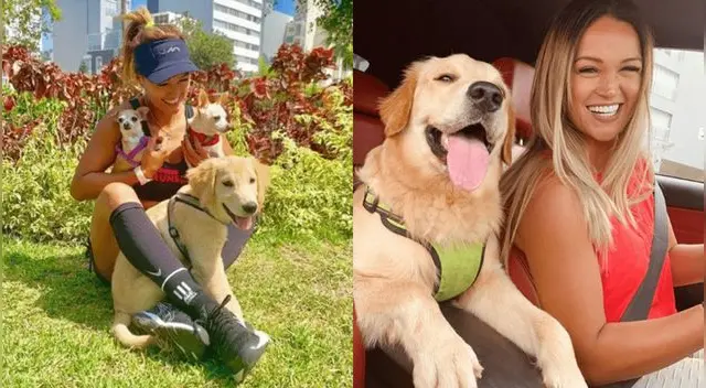 A pesar de sus acercamientos con Jota Benz, Angie Arizaga negó que haya besado a alguien recientemente con un curioso comentario. A pesar de sus acercamientos con Jota Benz, Angie Arizaga negó que haya besado a alguien recientemente con un curioso comentario.