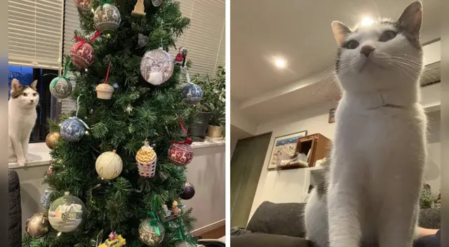 El clip cuenta con miles de reacciones en Facebook y Twitter.