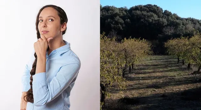 Pon a prueba tu agilidad visual y trata de resolver este desafío. Pon a prueba tu agilidad visual y trata de resolver este desafío.