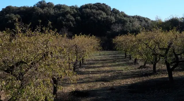 Pon a prueba tu agilidad visual y trata de resolver este desafío. Pon a prueba tu agilidad visual y trata de resolver este desafío.