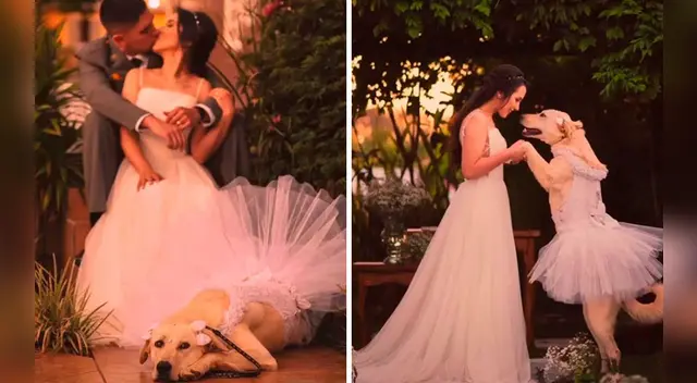 El clip cuenta con miles de reproducciones en TikTok. El clip cuenta con miles de reproducciones en TikTok.