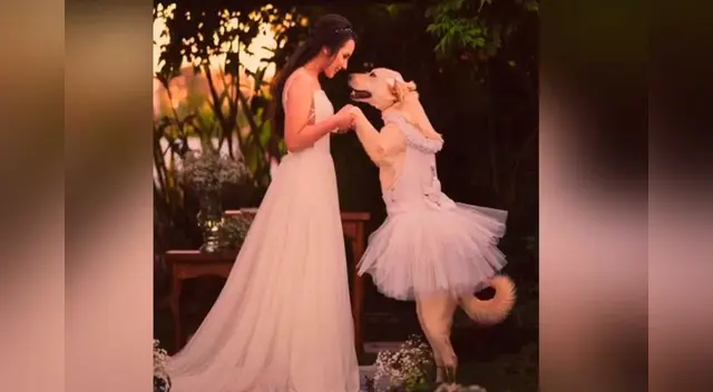 La escena conmovió a miles de internautas en las redes sociales. La escena conmovió a miles de internautas en las redes sociales.