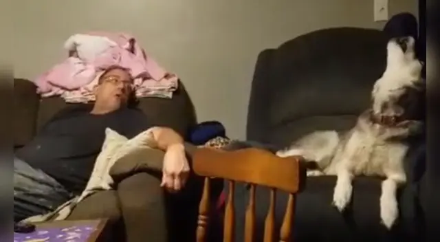 La cómica escena causó la risa de miles de internautas en las redes sociales.