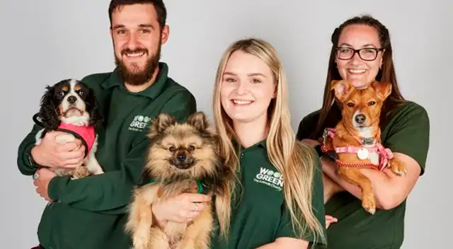 Adoptar una mascota: Consideraciones a tomar antes de hacerlo