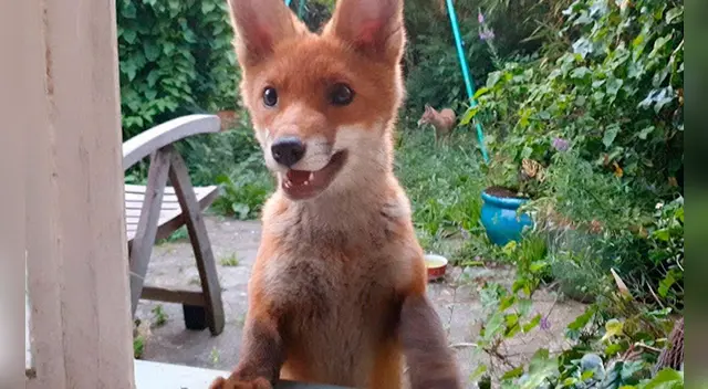 El clip cuenta con miles de reproducciones en YouTube. El clip cuenta con miles de reproducciones en YouTube.