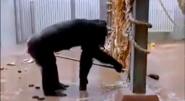 El peculiar suceso dejó asombrados a cibernautas.