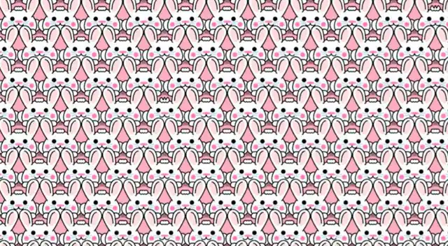 Encuentra a los conejos con peinados distintos