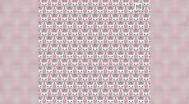 Encuentra a los conejos con peinados distintos