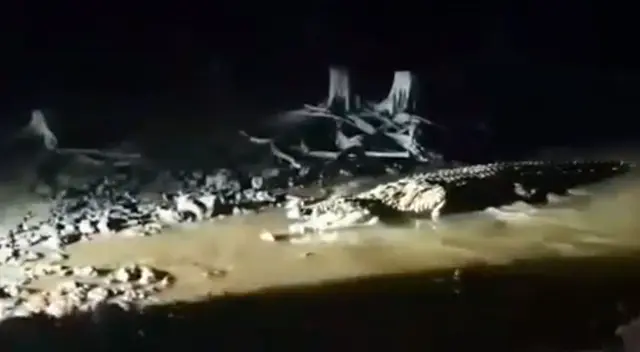 Pescadores querían hallar un tiburón gigante, pero los atacó el cocodrilo Pescadores querían hallar un tiburón gigante, pero los atacó el cocodrilo