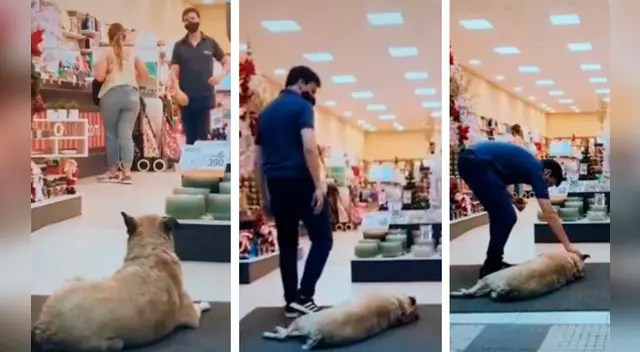 La escena conmovió a miles de internautas en las redes sociales.