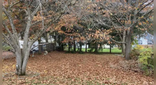 El challengue de Facebook ha causado sensación en las redes sociales.